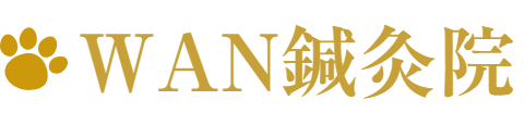 WAN鍼灸院